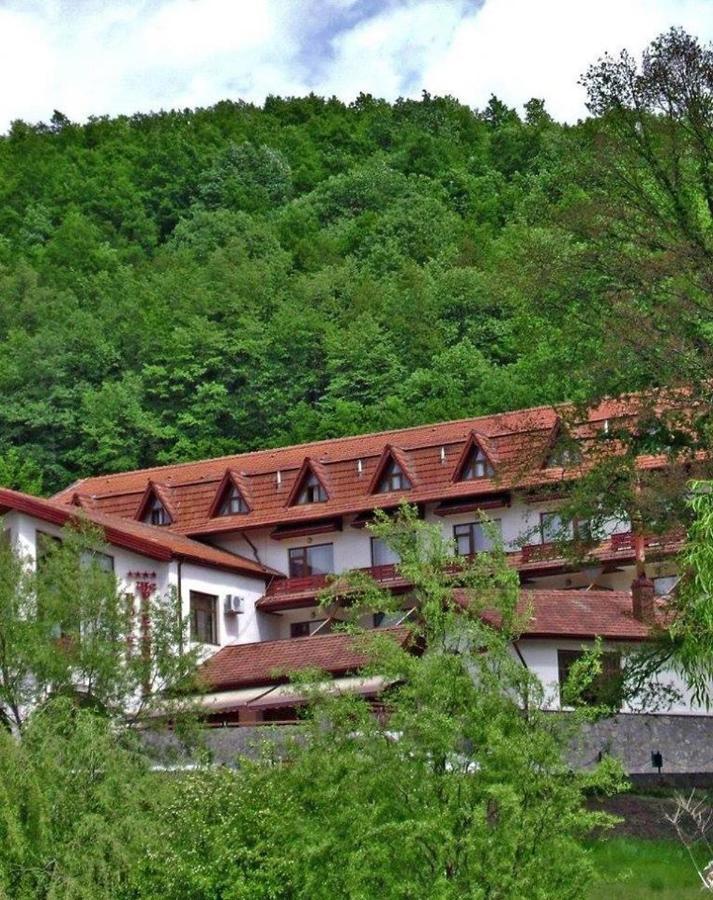Hotel Mcpietroasa Hales Exterior foto